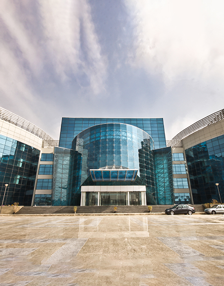 zewail university